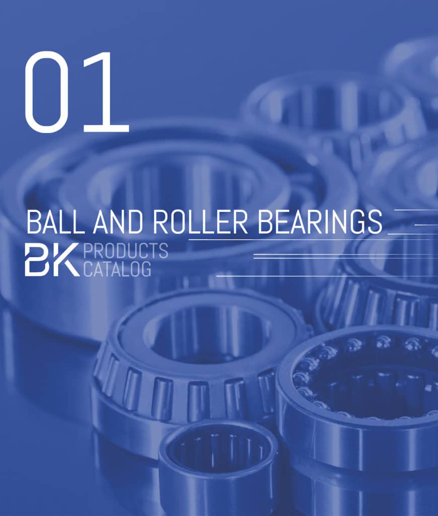 CCVI Bearing Industries